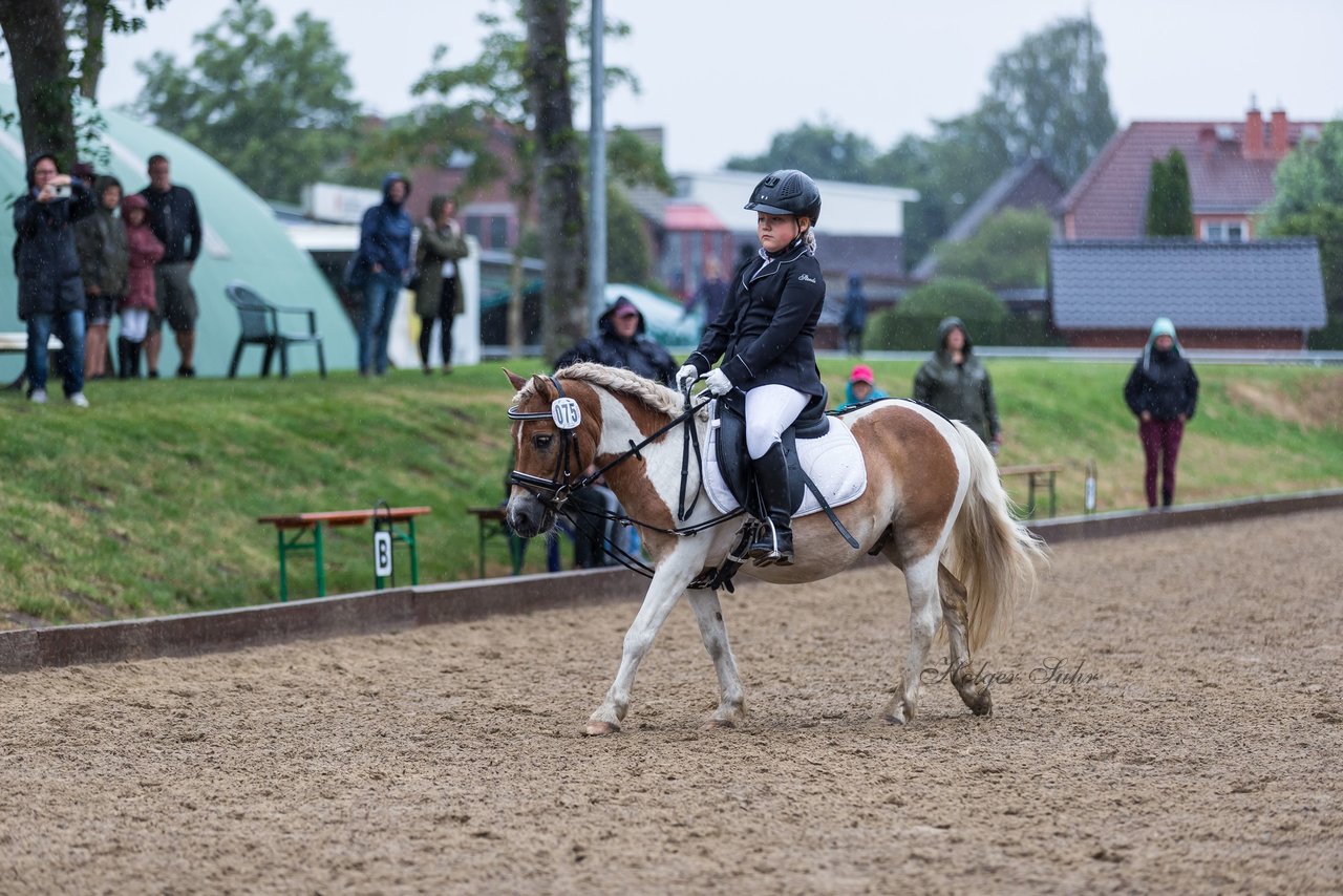 Bild 3 - Pony Akademie Turnier